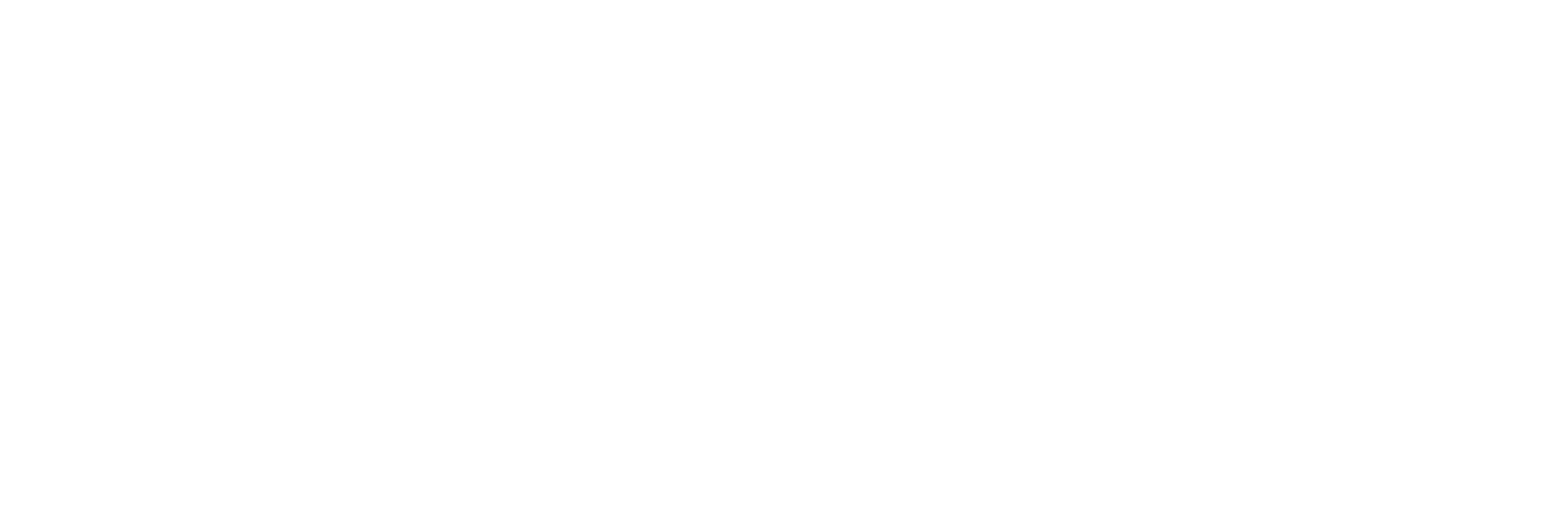 Pague X Global